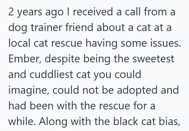2 years ago I received a call from a dog trainer friend about a cat at a local cat rescue having some issues. Ember, despite being the sweetest and cuddliest cat you could imagine, could not be adopted and had been with the rescue for a while. Along with the black cat bias,