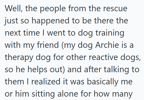 Well, the people from the rescue just so happened to be there the next time I went to dog training with my friend (my dog Archie is a therapy dog for other reactive dogs, so he helps out) and after talking to them I realized it was basically me or him sitting alone for how many
