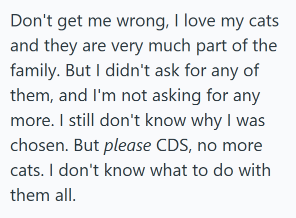 Don't get me wrong, I love my cats and they are very much part of the family. But I didn't ask for any of them, and I'm not asking for any more. I still don't know why I was chosen. But please CDS, no more cats. I don't know what to do with them all.