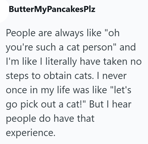 ButterMyPancakesPlz People are always like "oh you're such a cat person" and I'm like I literally have taken no steps to obtain cats. I never once in my life was like "let's go pick out a cat!" But I hear people do have that experience.