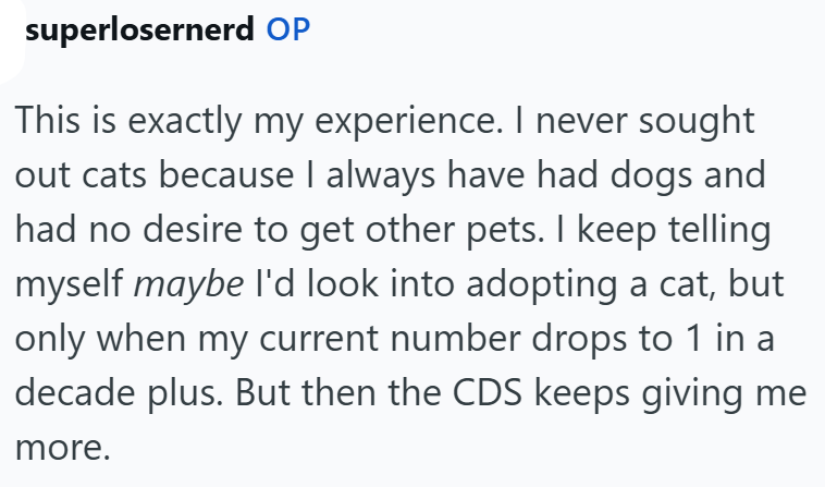 superlosernerd OP This is exactly my experience. I never sought out cats because I always have had dogs and had no desire to get other pets. I keep telling myself maybe I'd look into adopting a cat, but only when my current number drops to 1 in a decade plus. But then the CDS keeps giving me more.