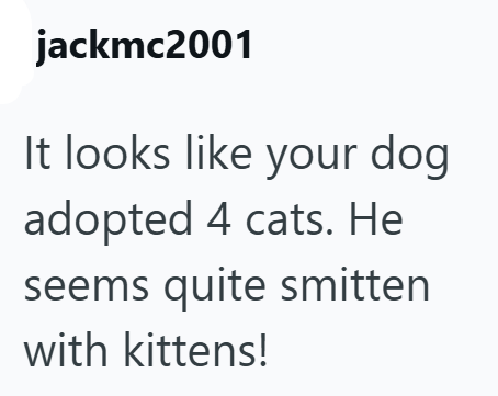 jackmc2001 It looks like your dog adopted 4 cats. He seems quite smitten with kittens!