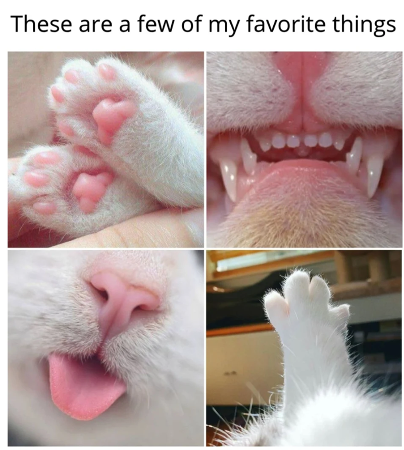 These are a few of my favorite things