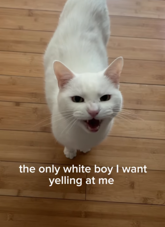 the only white boy I want yelling at me