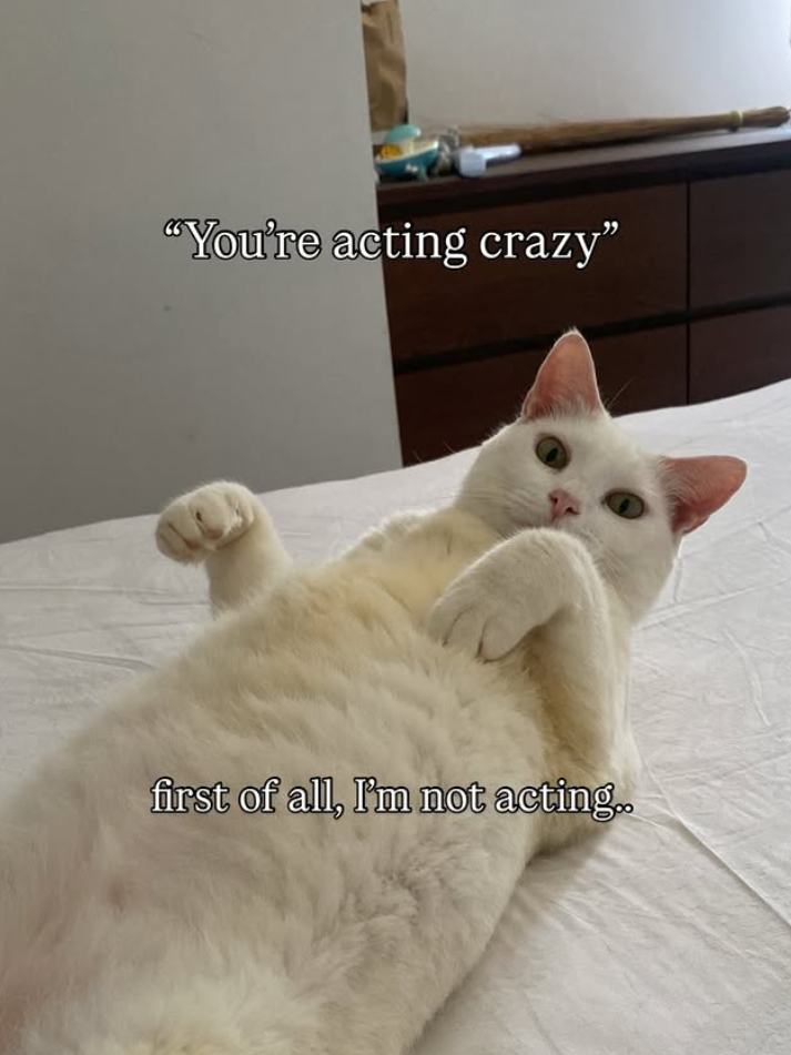 “You're acting crazy" first of all, I'm not acting..