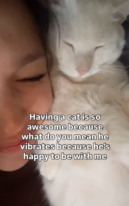 Having a cat is so awesome because what do you mean he vibrates because he's happy to be with me