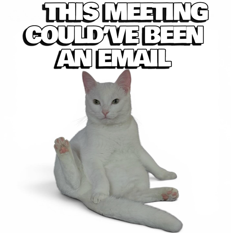 THIS MEETING COULD'VE BEEN AN EMAIL