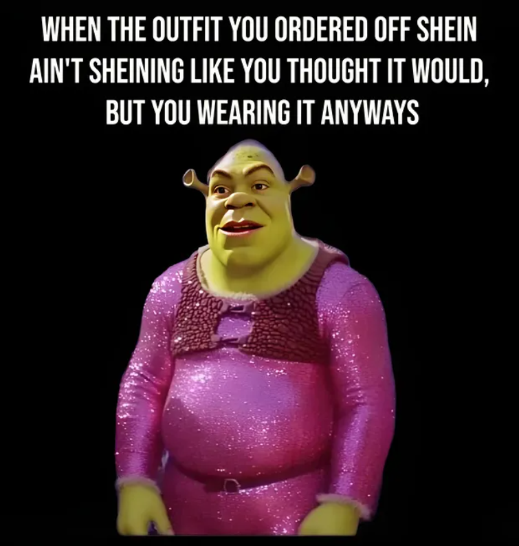 WHEN THE OUTFIT YOU ORDERED OFF SHEIN AIN'T SHEINING LIKE YOU THOUGHT IT WOULD, BUT YOU WEARING IT ANYWAYS