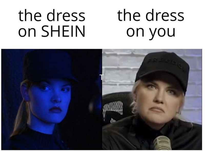 the dress on SHEIN the dress on you L