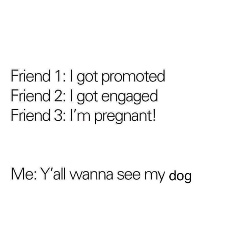 Friend 1: I got promoted Friend 2: I got engaged Friend 3: I'm pregnant! Me: Y'all wanna see my dog