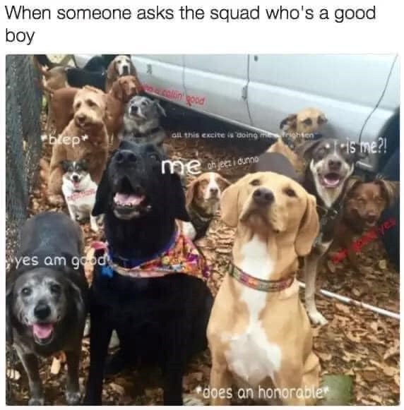 When someone asks the squad who's a good boy collin' good bep* all this excite is doing m is me?! yes am good me objecz i dunno *does an honorable