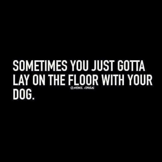 SOMETIMES YOU JUST GOTTA LAY ON THE FLOOR WITH YOUR DOG. REBEL ORCUS