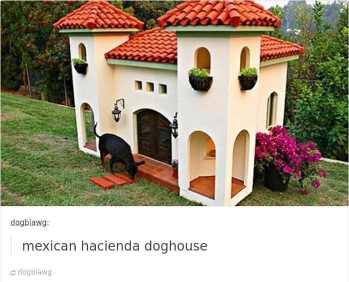 50 - dogblawg: mexican hacienda doghouse dogblawg