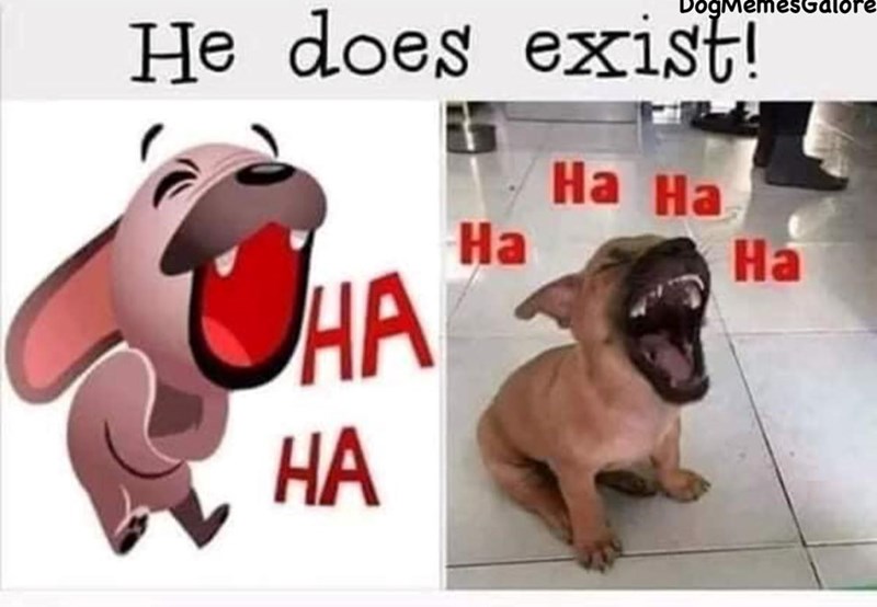 DogMemesGalore He does exist! HA HA Ha Ha Ha Ha