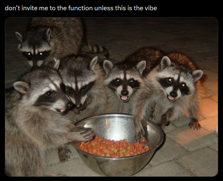 don't invite me to the function unless this is the vibe