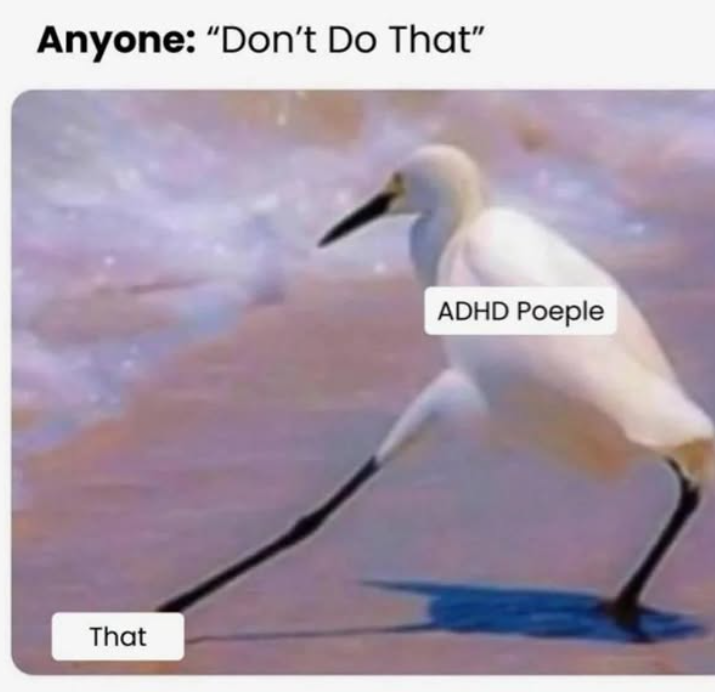 Anyone: "Don't Do That" That ADHD Poeple