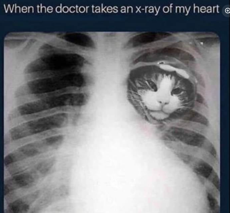 When the doctor takes an x-ray of my heart +