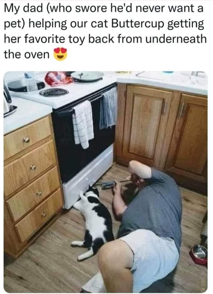 My dad (who swore he'd never want a pet) helping our cat Buttercup getting her favorite toy back from underneath the oven