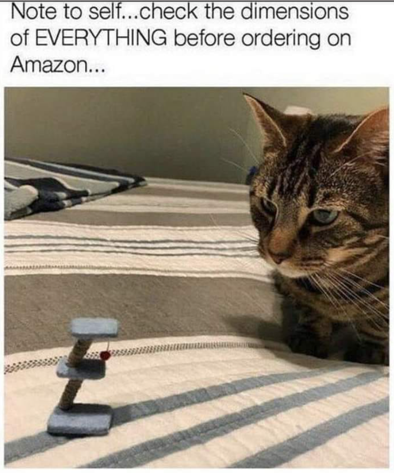 Note to self...check the dimensions of EVERYTHING before ordering on Amazon...