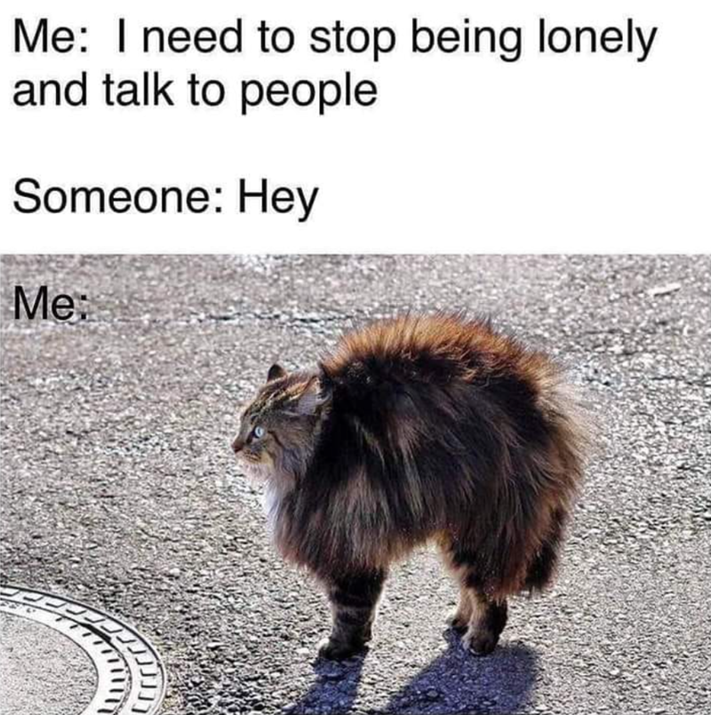 Me: I need to stop being lonely and talk to people Someone: Hey Me: