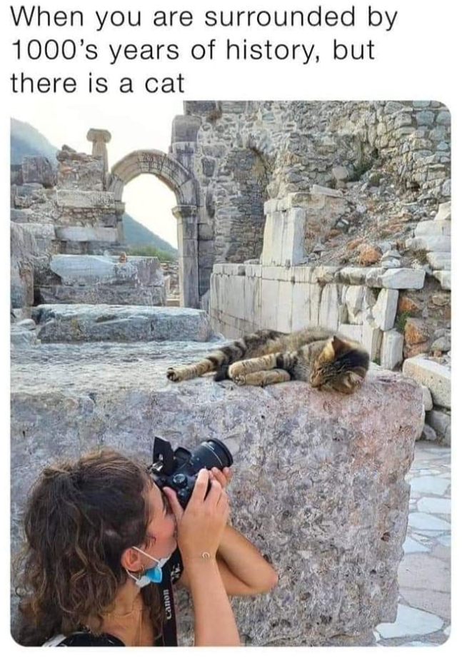 Canon When you are surrounded by 1000's years of history, but there is a cat