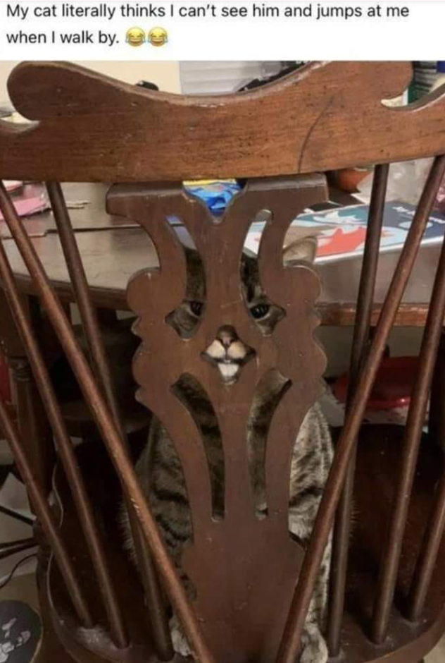 My cat literally thinks I can't see him and jumps at me when I walk by.