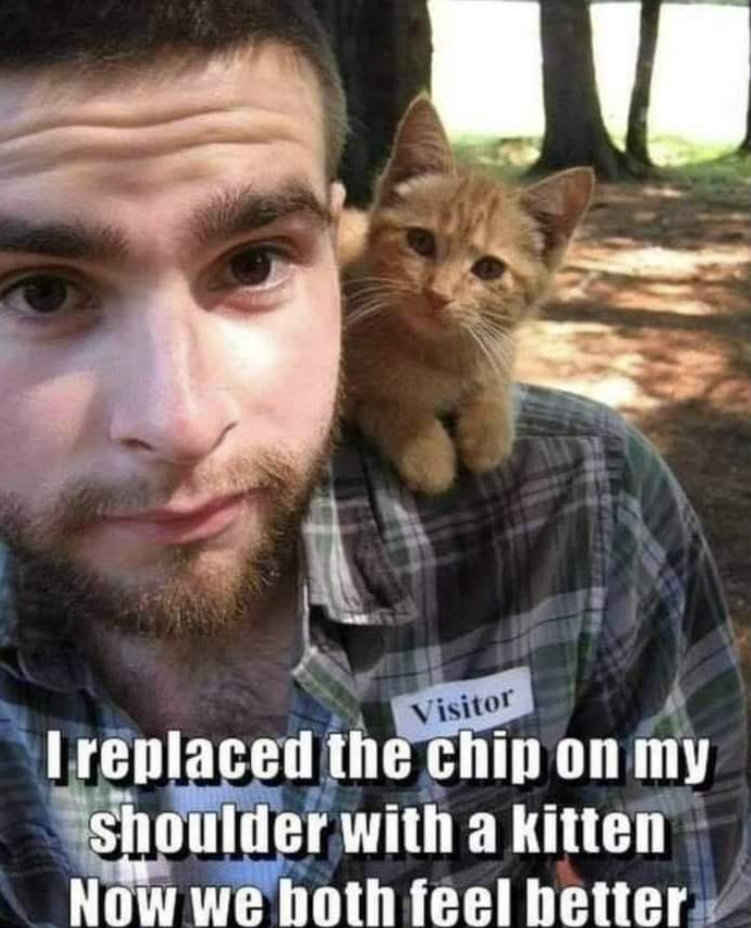 Visitor I replaced the chip on my Shoulder with a kitten Now we both feel better