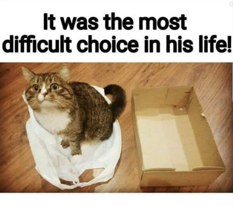 It was the most difficult choice in his life!