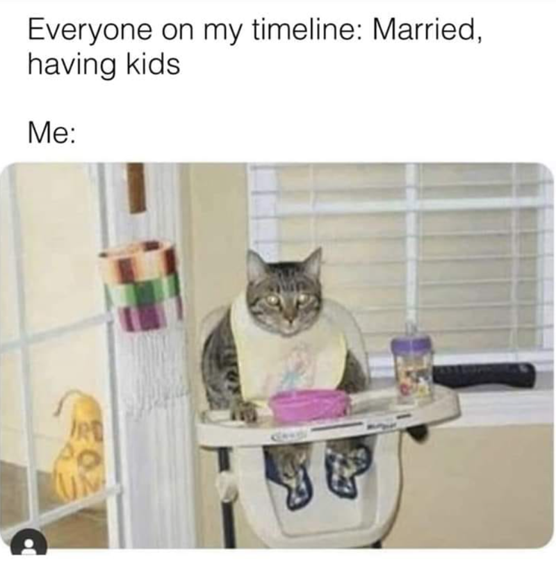 Everyone on my timeline: Married, having kids Me: