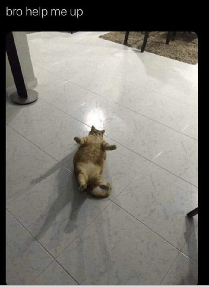 bro help me up