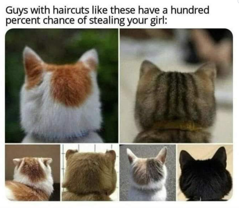 Guys with haircuts like these have a hundred percent chance of stealing your girl:
