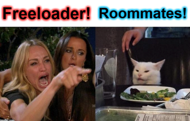 Freeloader! Roommates! imaflip.com H