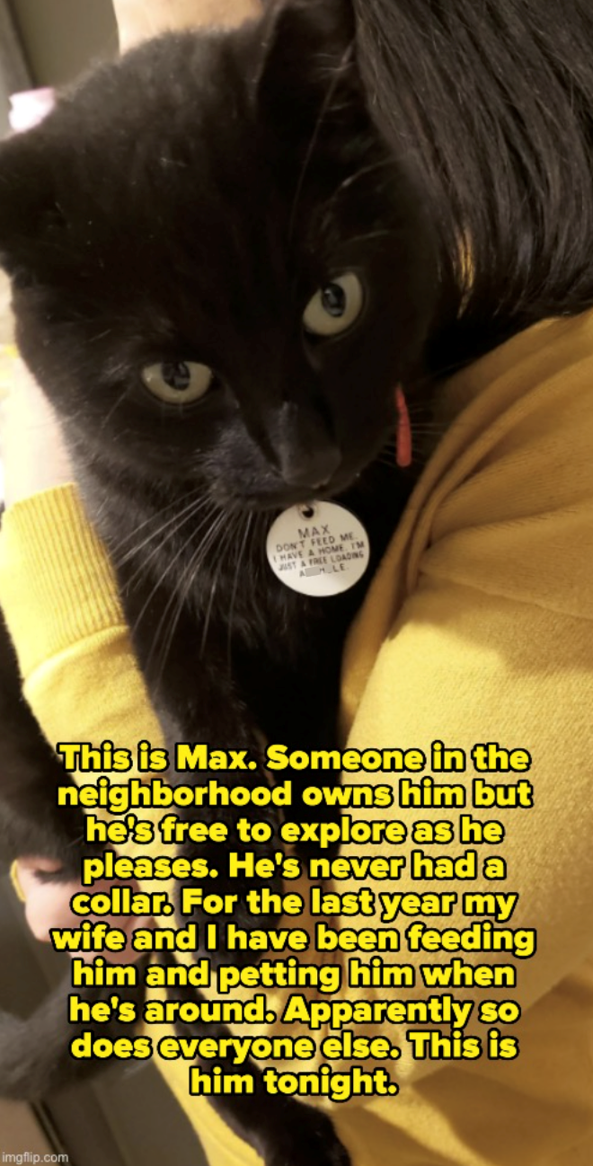MAX DON'T FEED ME I HAVE A HOME IM JUST A FREE LOADING AM.LE This is Max. Someone in the neighborhood owns him but he's free to explore as he pleases. He's never had a collar. For the last year my wife and I have been feeding him and petting him when he's around. Apparently so does everyone else. This is him tonight. imgflip.com