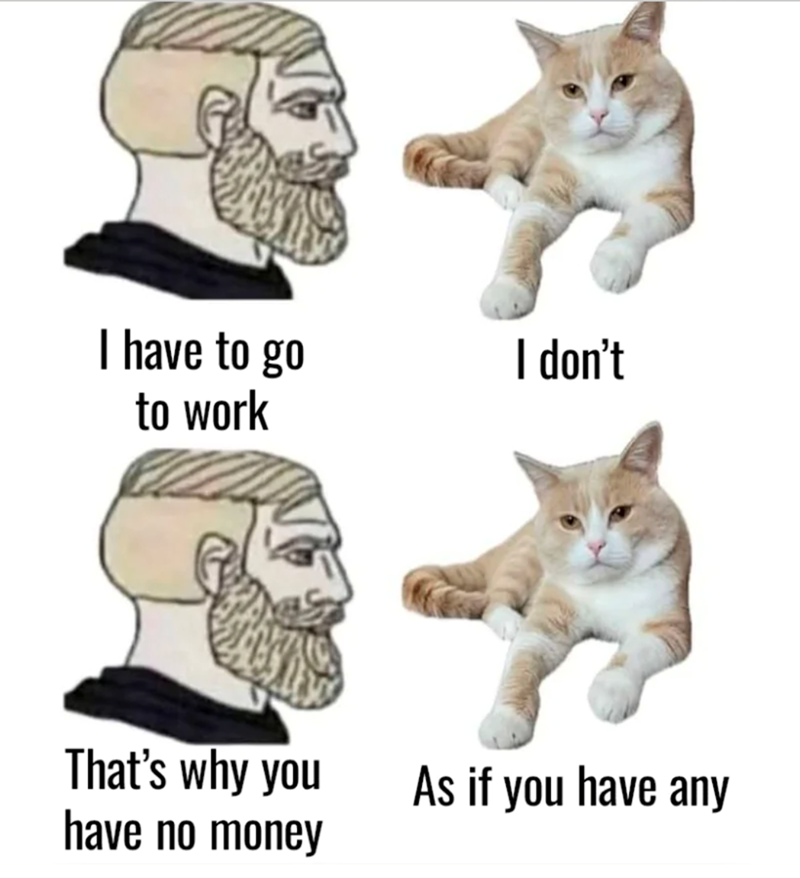 I have to go to work I don't That's why you have no money As if you have any