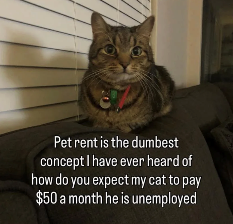Pet rent is the dumbest concept I have ever heard of how do you expect my cat to pay $50 a month he is unemployed