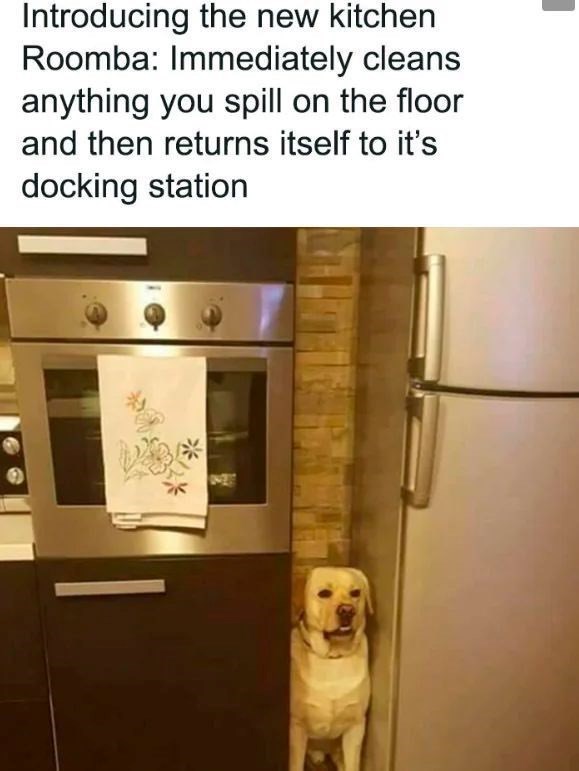 Introducing the new kitchen Roomba: Immediately cleans anything you spill on the floor and then returns itself to it's docking station