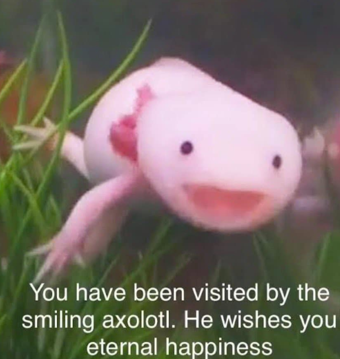 You have been visited by the smiling axolotl. He wishes you eternal happiness