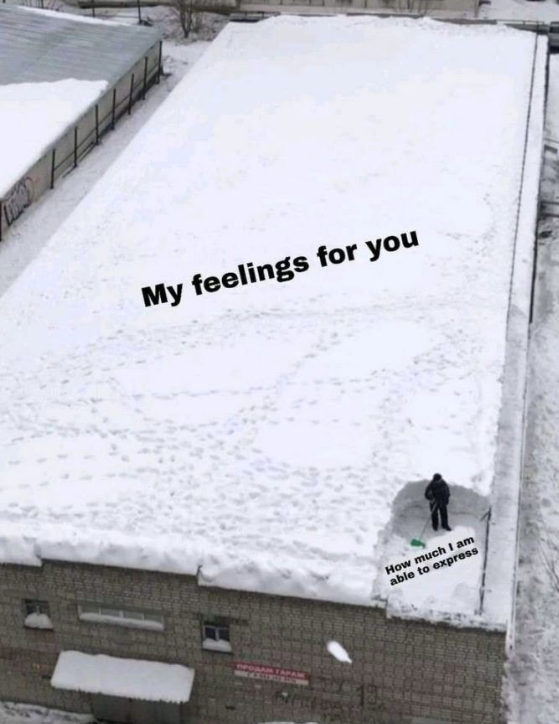 My feelings for you PAM How much I am able to express