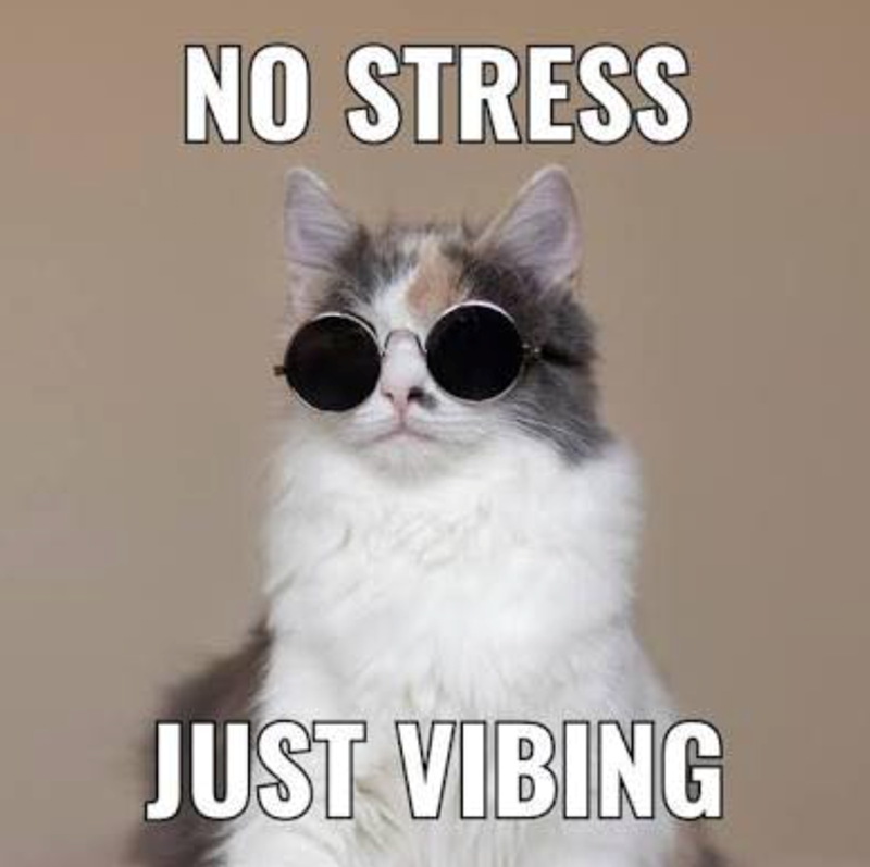 NO STRESS JUST VIBING