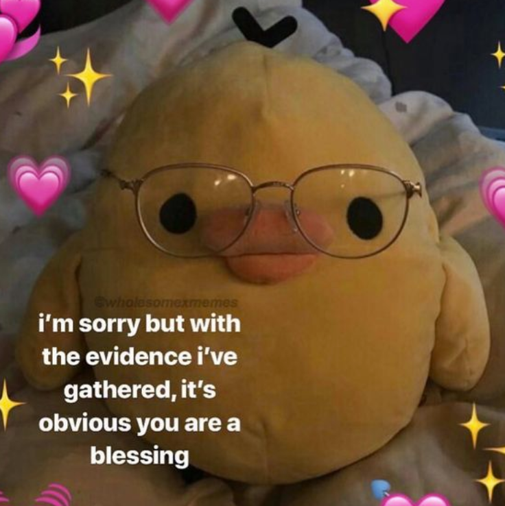 wholesomexmemes i'm sorry but with the evidence i've gathered, it's obvious you are a blessing