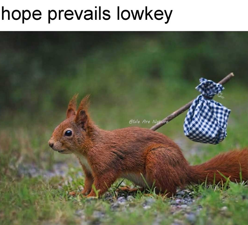 hope prevails lowkey @We Are Nature