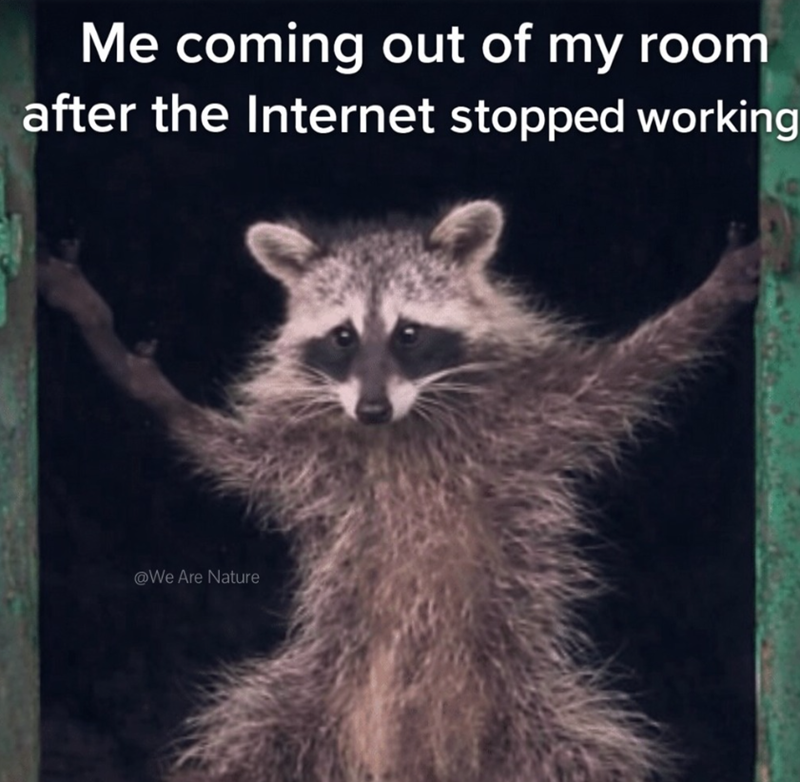 Me coming out of my room after the Internet stopped working @We Are Nature