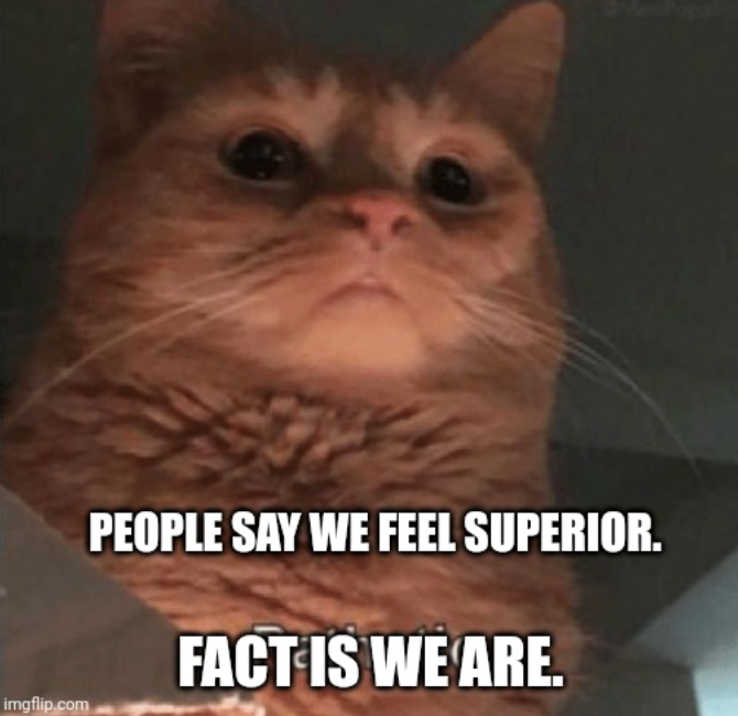 imgflip.com PEOPLE SAY WE FEEL SUPERIOR. FACT IS WE ARE.
