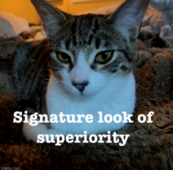 Signature look of superiority imgflip.com