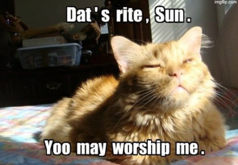 Dat's rite, Sun. imgflip.com Yoo may worship me.