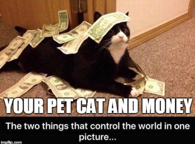 YOUR PET CAT AND MONEY The two things that control the world in one picture... imgflip.com