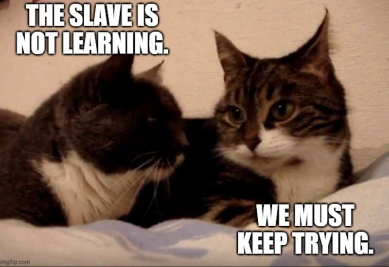 THE SLAVE IS NOT LEARNING. imgflip.com WE MUST KEEP TRYING.