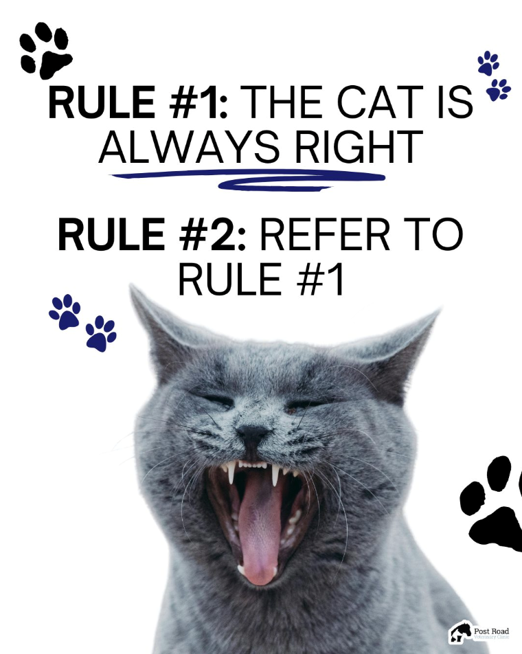 : RULE #1: THE CAT IS ALWAYS RIGHT RULE #2: REFER TO RULE #1 Post Road Veterinary Clinic
