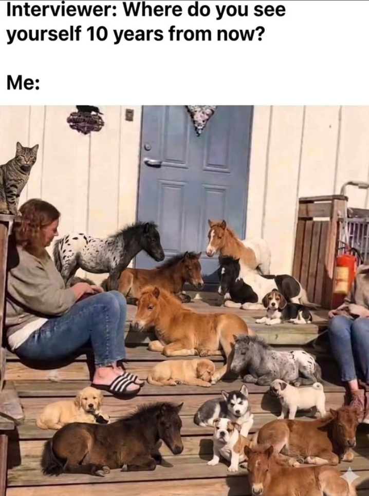 Interviewer: Where do you see yourself 10 years from now? Me: