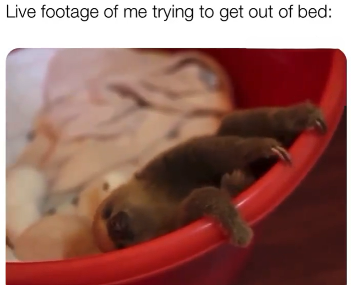 Live footage of me trying to get out of bed: